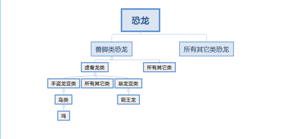 给鸡装上一条假尾巴 结果像霸王龙一样走路！到底啥关系