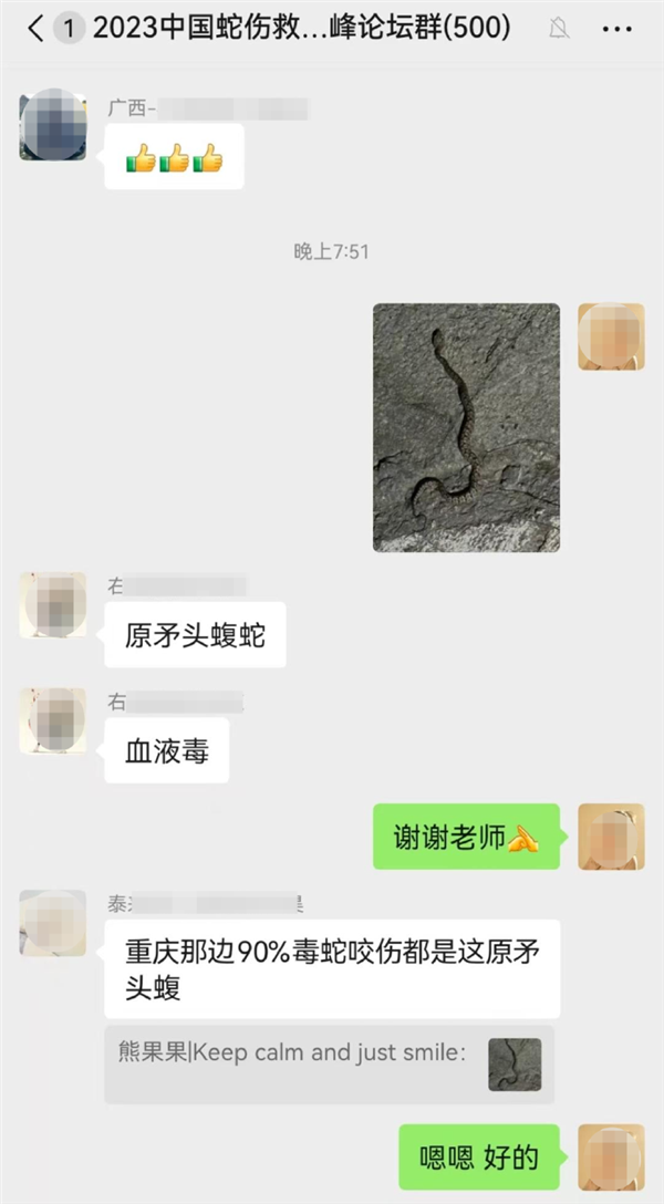男子被毒蛇咬伤 女友教科书级应对：第一时间拿起手机拍照