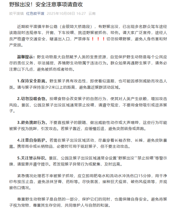 男子路边停车休息遭野猴入车袭击：被动物抓伤需做好“三防”