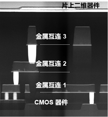 碾压传统闪存!我国研发全球首个二维-硅基混合架构闪存芯片